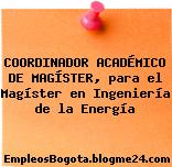 COORDINADOR ACADÉMICO DE MAGÍSTER, para el Magíster en Ingeniería de la Energía