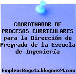 COORDINADOR DE PROCESOS CURRICULARES para la Dirección de Pregrado de la Escuela de Ingeniería