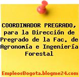 COORDINADOR PREGRADO, para la Dirección de Pregrado de la Fac. de Agronomía e Ingeniería Forestal