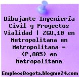 Dibujante Ingeniería Civil y Proyectos Vialidad | ZGU.10 en Metropolitana en Metropolitana – (P.805) en Metropolitana