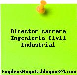 Director carrera Ingeniería Civil Industrial