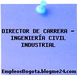 DIRECTOR DE CARRERA – INGENIERÍA CIVIL INDUSTRIAL