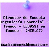 Director de Escuela Ingeniería Comercial – Temuco – [ZD959] en Temuco | (HIE.97)