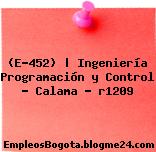 (E-452) | Ingeniería Programación y Control – Calama – r1209