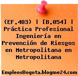(EF.403) | [B.054] | Práctica Profesional Ingeniería en Prevención de Riesgos en Metropolitana en Metropolitana