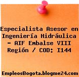 Especialista Asesor en Ingeniería Hidráulica – AIF Embalse VIII Región / COD: I144