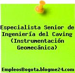 Especialista Senior de Ingeniería del Caving (Instrumentación Geomecánica)