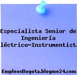 Especialista Senior de Ingeniería (Eléctrico-Instrumentista)