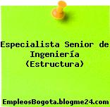 Especialista Senior de Ingeniería (Estructura)