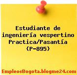 Estudiante de ingeniería vespertino Practica/Pasantía (P-895)