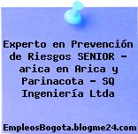 Experto en Prevención de Riesgos SENIOR – arica en Arica y Parinacota – SQ Ingeniería Ltda
