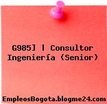 G985] | Consultor Ingeniería (Senior)