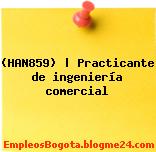 (HAN859) | Practicante de ingeniería comercial