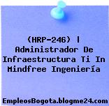 (HRP-246) | Administrador De Infraestructura Ti In Mindfree Ingeniería