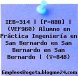 IEB-314 | [P-880] | (VEF960) Alumno en Práctica Ingeniería en San Bernardo en San Bernardo en San Bernardo | (V-848)