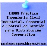 IM609 Práctica Ingeniería Civil Industrial, Comercial o Control de Gestión para Distribución Corporativa