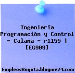 Ingeniería Programación y Control – Calama – r1155 | [EG909]