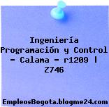 Ingeniería Programación y Control – Calama – r1209 | Z746