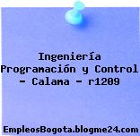 Ingeniería Programación y Control – Calama – r1209