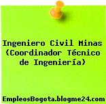 Ingeniero Civil Minas (Coordinador Técnico de Ingeniería)