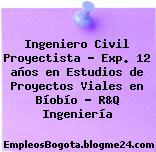 Ingeniero Civil Proyectista – Exp. 12 años en Estudios de Proyectos Viales en Bíobío – R&Q Ingeniería