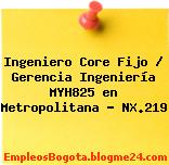 Ingeniero Core Fijo / Gerencia Ingeniería MYH825 en Metropolitana – NX.219