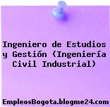 Ingeniero de Estudios y Gestión (Ingeniería Civil Industrial)