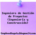 Ingeniero de Gestión de Proyectos (Ingeniería y Construcción)