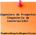 Ingeniero de Proyectos (Ingeniería de Construcción)