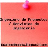 Ingeniero de Proyectos / Servicios de Ingeniería