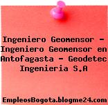 Ingeniero Geomensor – Ingeniero Geomensor en Antofagasta – Geodetec Ingenieria S.A