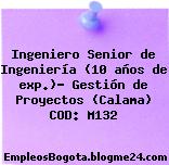 Ingeniero Senior de Ingeniería (10 años de exp.)- Gestión de Proyectos (Calama) COD: M132
