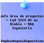Jefe área de proyectos – Cod I224 02 en Bíobío – R&Q Ingeniería