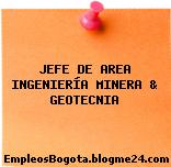 JEFE DE AREA INGENIERÍA MINERA & GEOTECNIA