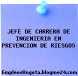 JEFE DE CARRERA DE INGENIERIA EN PREVENCION DE RIESGOS