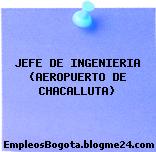 JEFE DE INGENIERIA (AEROPUERTO DE CHACALLUTA)