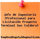 Jefe de Ingeniería (Profesional para Licitación Proyecto Terminal Gas Caldera)