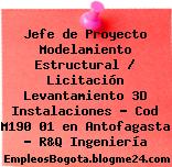 Jefe de Proyecto Modelamiento Estructural / Licitación Levantamiento 3D Instalaciones – Cod M190 01 en Antofagasta – R&Q Ingeniería