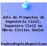 Jefe de Proyectos de Ingeniería Civil. Ingeniero Civil en Obras Civiles Senior