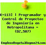 K-113] | Programador y Control de Proyectos de Ingeniería en Metropolitana – (DZ.507)