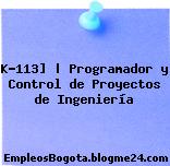 K-113] | Programador y Control de Proyectos de Ingeniería
