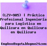 (LZV-905) | Práctica Profesional Ingeniería para Logística en Quilicura en Quilicura en Quilicura