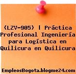 (LZV-905) | Práctica Profesional Ingeniería para Logística en Quilicura en Quilicura