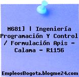 M681] | Ingeniería Programación Y Control / Formulación Apis – Calama – R1156