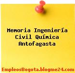 Memoria Ingeniería Civil Química Antofagasta