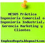 MES65 Práctica Ingeniería Comercial o Ingeniería Industrial, Gerencia Marketing y Clientes