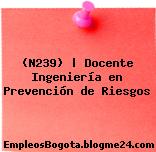 (N239) | Docente Ingeniería en Prevención de Riesgos