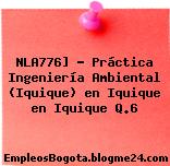 NLA776] – Práctica Ingeniería Ambiental (Iquique) en Iquique en Iquique Q.6