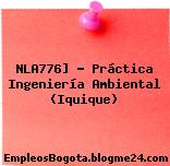 NLA776] – Práctica Ingeniería Ambiental (Iquique)
