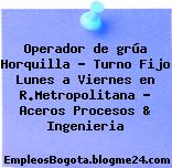 Operador de grúa Horquilla – Turno Fijo Lunes a Viernes en R.Metropolitana – Aceros Procesos & Ingenieria